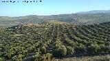 Castelln de Caviedes. Vistas