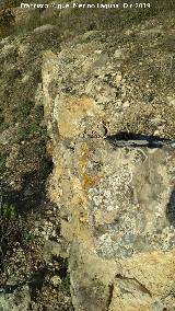 Castelln de Caviedes. Muralla