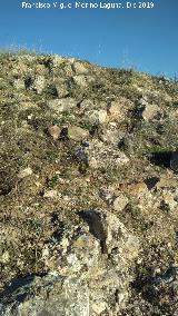 Castelln de Caviedes. Muralla