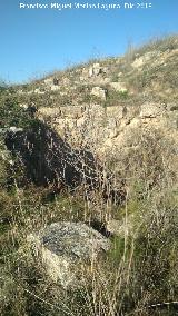 Castelln de Caviedes. Hueco con rbol