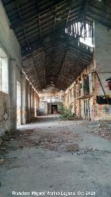 Fundicin de la Cruz. Nave