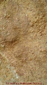 Pinturas rupestres y petroglifos Cueva del Clarillo. 