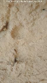 Pinturas rupestres y petroglifos Cueva del Clarillo. Cazoleta