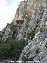 Pinturas rupestres y petroglifos Cueva del Clarillo. 