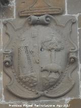 Palacio de los Condes de Guadiana. Escudo izquierdo de la fachada