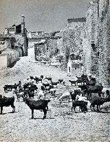 Puerta de San Lorenzo. Foto de mediados del siglo XX. Foto de Jean Sermet.