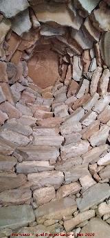 Caracol Verdern. Bveda