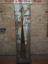 Trompeta marina. Catedral Vieja de Salamanca