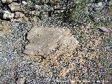 Necrpolis del Salido Alto. Laja de piedra