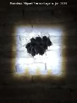 Molinos de Casas Nueva - Marmolejo Murciélago ribereño - Myotis daubentonii. Molinos de Casas Nueva - Marmolejo