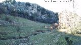 Arroyo de los Habares. 