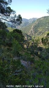 Caada del Sabinar. Vistas