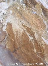 Pinturas rupestres del Abrigo Debajo del Plato. 