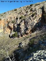 Pinturas rupestres del Abrigo Debajo del Plato. 