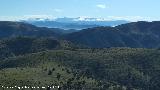 Provincia de Granada. Sierra Nevada desde el Cerro Los Morales - Valdepeas de Jan