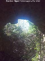 Ermita de San Cosme y San Damin. Bveda