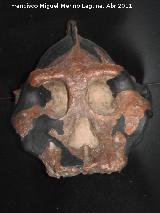 Turkana occidental - Kenya Paranthropus aethiopicus. Turkana occidental - Kenya