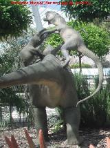 Atacando a un Iguanodón. Valencia Velocirráptor - Velociraptor mongoliensis. Atacando a un Iguanodón. Valencia