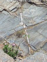 Calcita. Veta de calcita entre las pizarras. Ro Montizn - Santisteban del Puerto