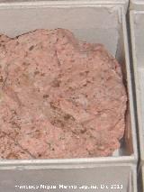 Bailén Ortosa. Bailén