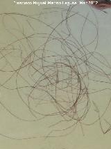 Mamut - Mammuthus sp. Pelo de Manut