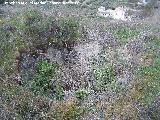 Castelln de Cazalla. Posible aljibe