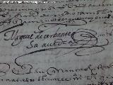 Miguel de Cervantes Saavedra. Firma de Miguel de Cervantes. Archivo Histrico de Jan