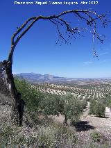 Jan. Al fondo Jan desde los pies de Pea Grajera