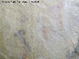 Pinturas rupestres de la Cueva del Canjorro I. Parte inferior