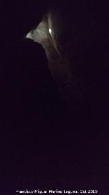 Pinturas rupestres de la Cueva del Canjorro I. Haz de luz iluminando las pinturas