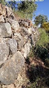 Muralla Cerro Alcalá. Muralla