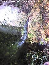 Albercas de la Estrella.