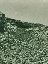 1959 Archivo del IEG Pinturas rupestres de la Fuente de la Peña V. 1959 Archivo del IEG