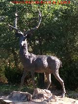 Estatua en Aldeaquemada Ciervo - Cervus elaphus. Estatua en Aldeaquemada