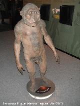 Paranthropus boisei.