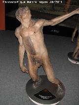 Australopithecus africanus.