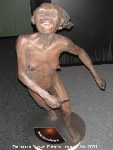 Homo floresiensis.