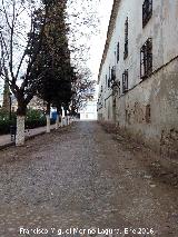 Fachada principal Palacio de los Marqueses de Viana. Fachada principal