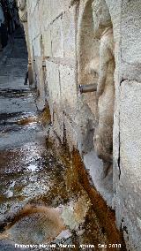 Fuente de Los Caños.