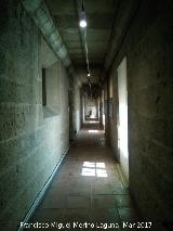 Catedral de Jaén. Galerías Altas.